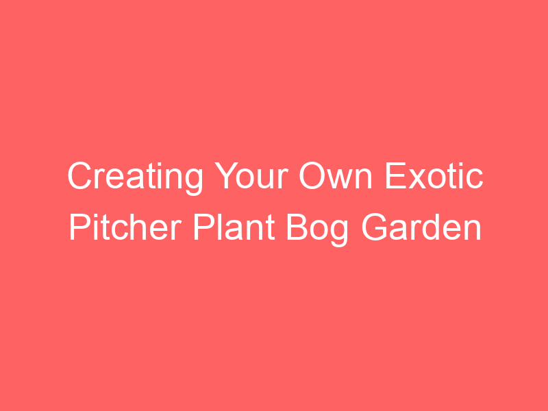 Creating Your Own Exotic Pitcher Plant Bog Garden