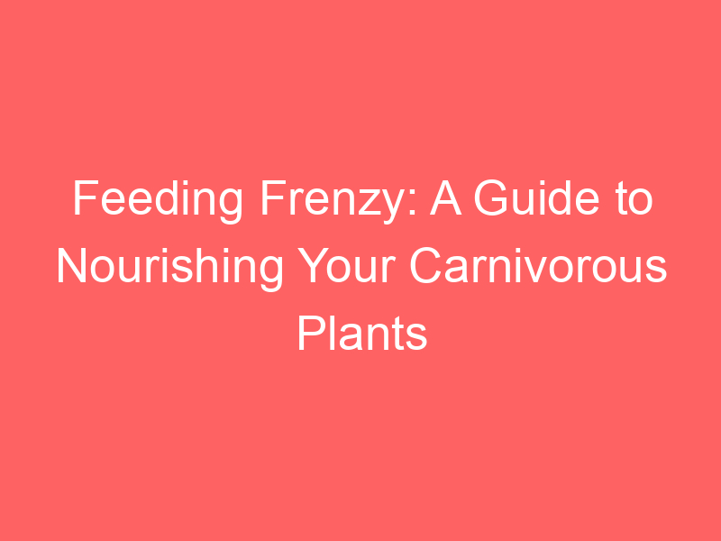 Feeding Frenzy: A Guide to Nourishing Your Carnivorous Plants