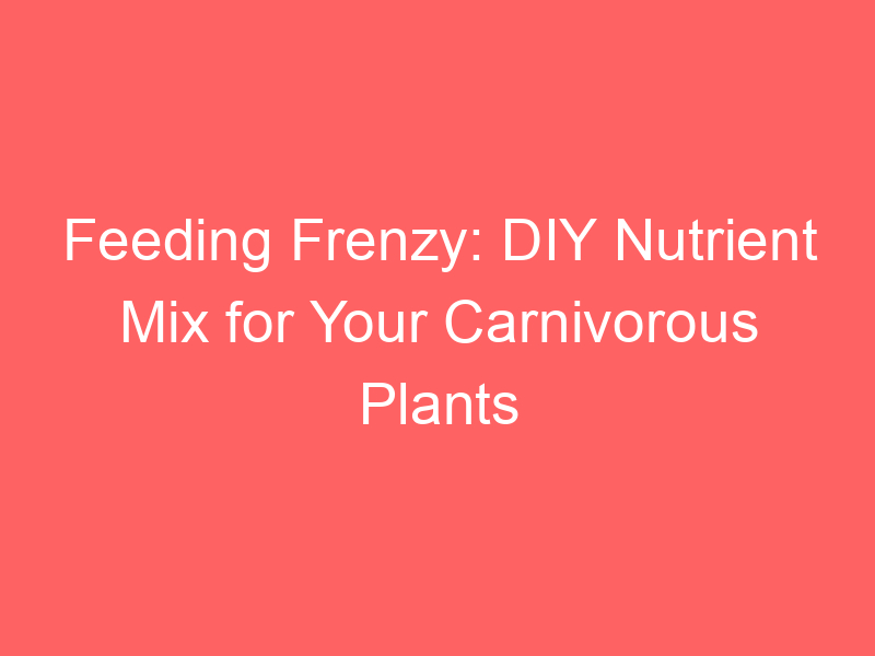 Feeding Frenzy: DIY Nutrient Mix for Your Carnivorous Plants