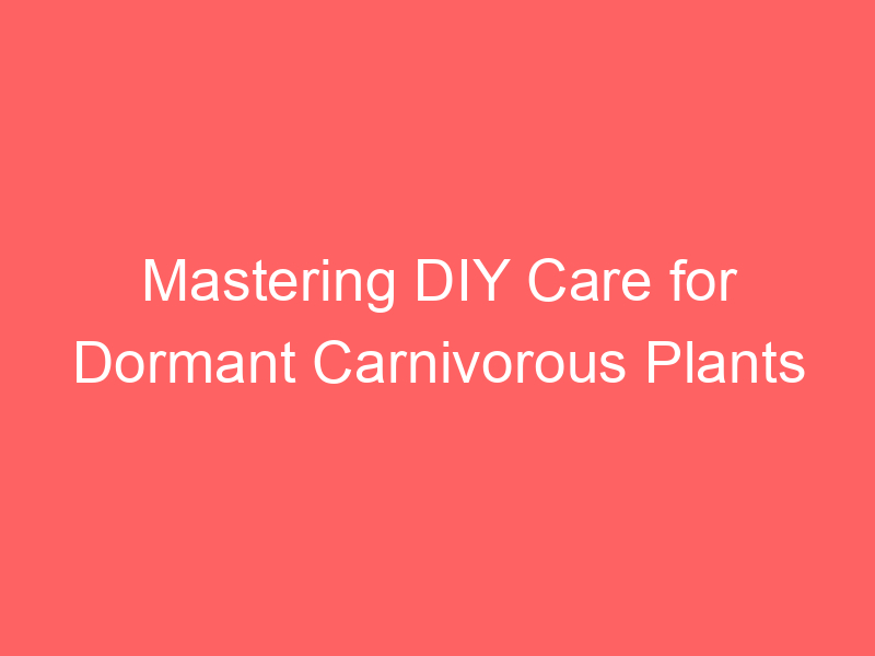 Mastering DIY Care for Dormant Carnivorous Plants