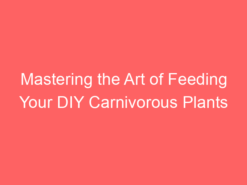 Mastering the Art of Feeding Your DIY Carnivorous Plants