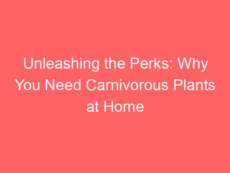 Unleashing the Perks: Why You Need Carnivorous Plants at Home