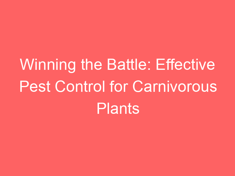 Winning the Battle: Effective Pest Control for Carnivorous Plants